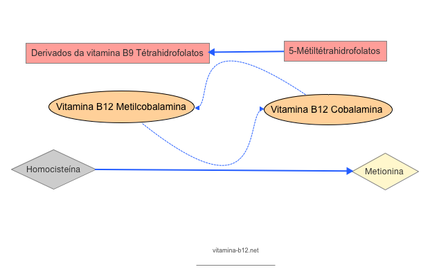 metil-cobalamina