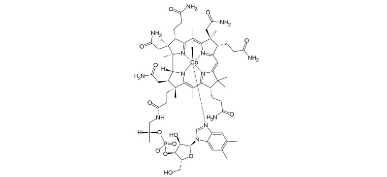 Formas de vitamina B12: Metilcobalamina