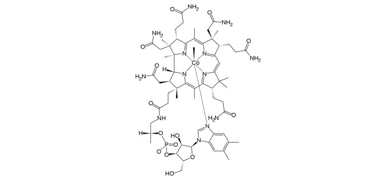 Formas de vitamina B12: Metilcobalamina