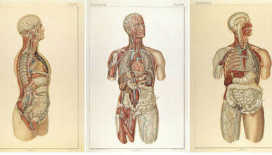 deficiência-b12