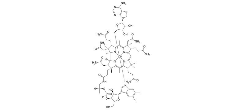 Formas de vitamina B12: Adenosilcobalamina